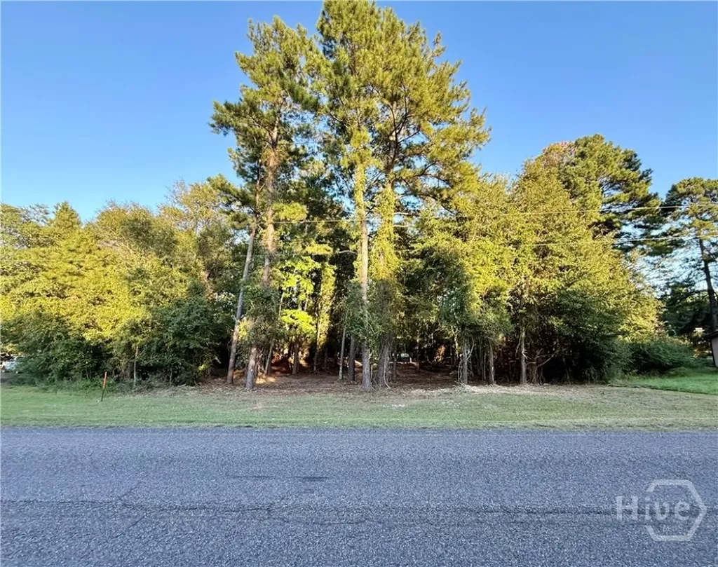 0 Friendship Road Sylvania GA 30467