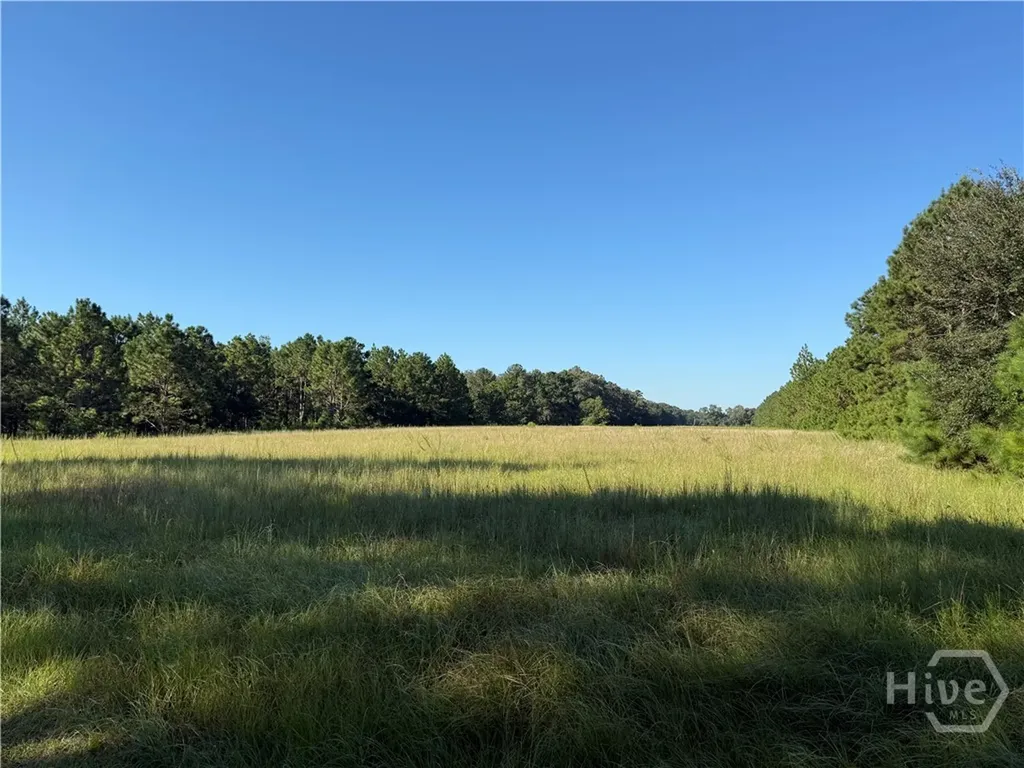 0 Sunbury Road Claxton GA 30417
