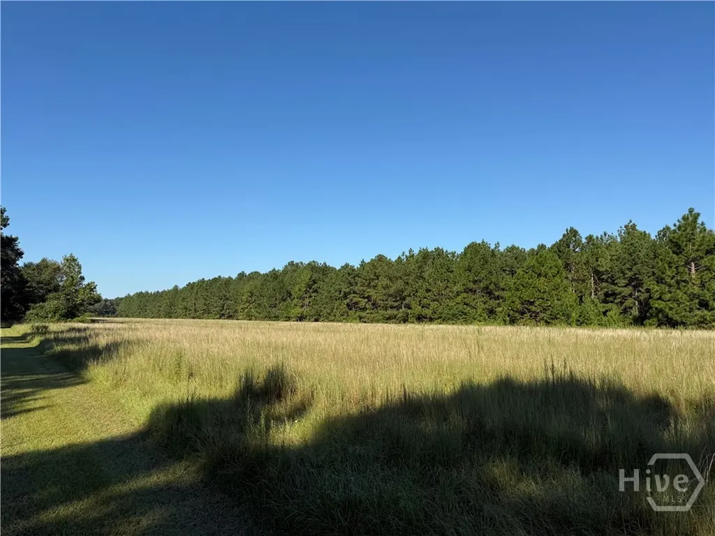 0 Sunbury Road Claxton GA 30417