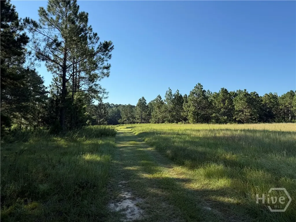 0 Sunbury Road Claxton GA 30417