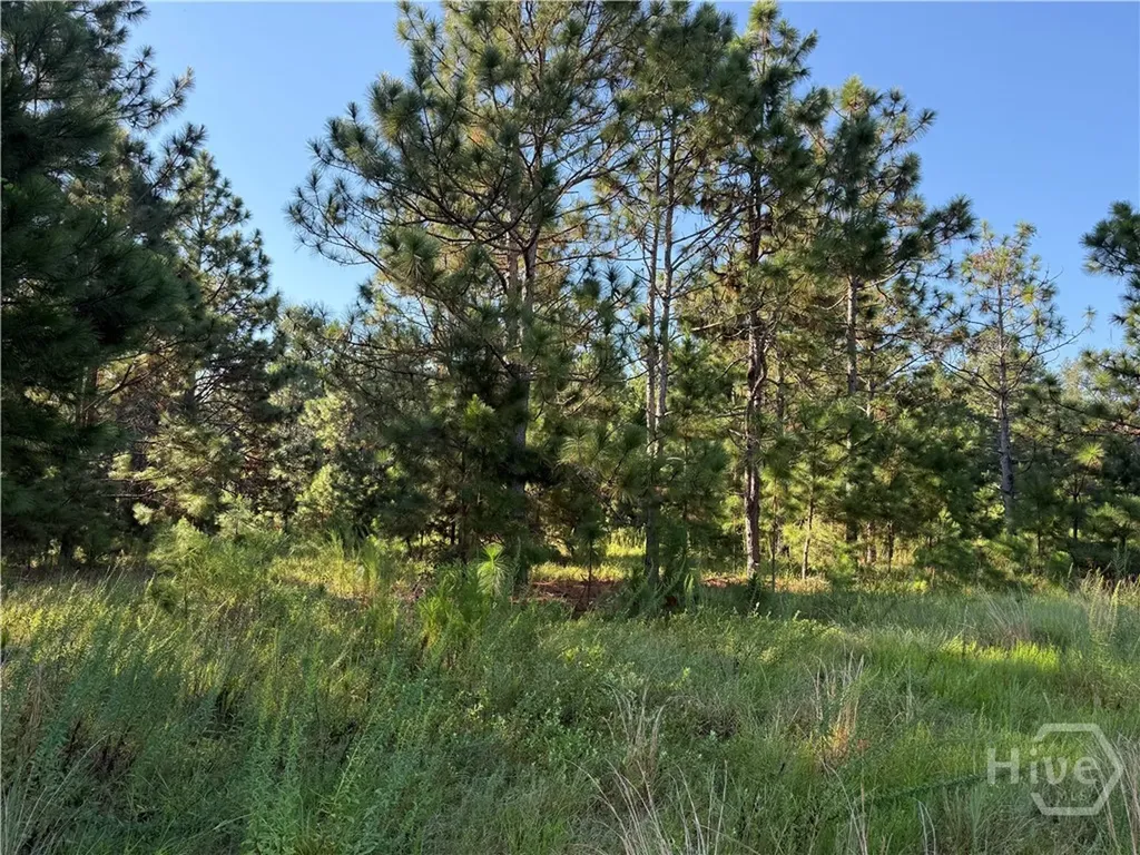 0 Sunbury Road Claxton GA 30417