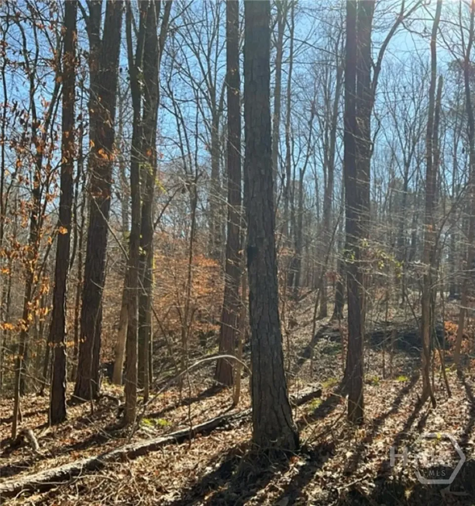 0 Long Leaf Drive Thomson GA 30824