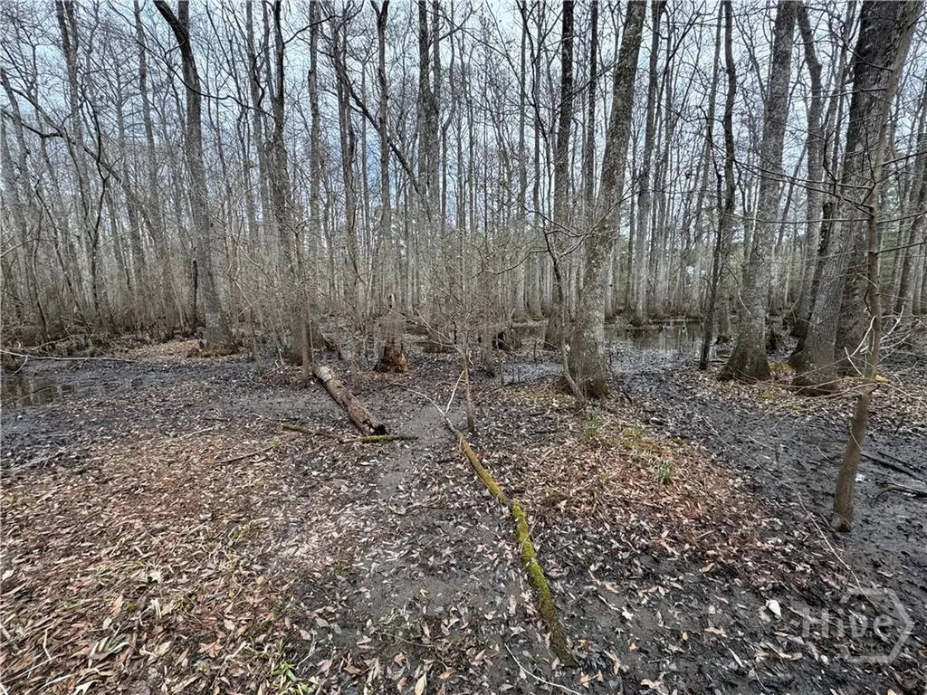 0 Old Highway 204 Highway Bloomingdale GA 31302
