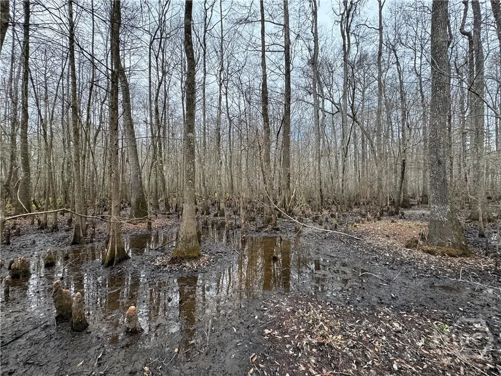 0 Old Highway 204 Highway Bloomingdale GA 31302