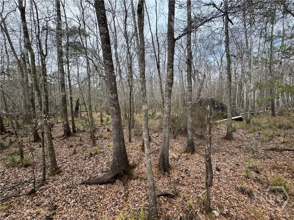 0 Old Highway 204 Highway Bloomingdale GA 31302