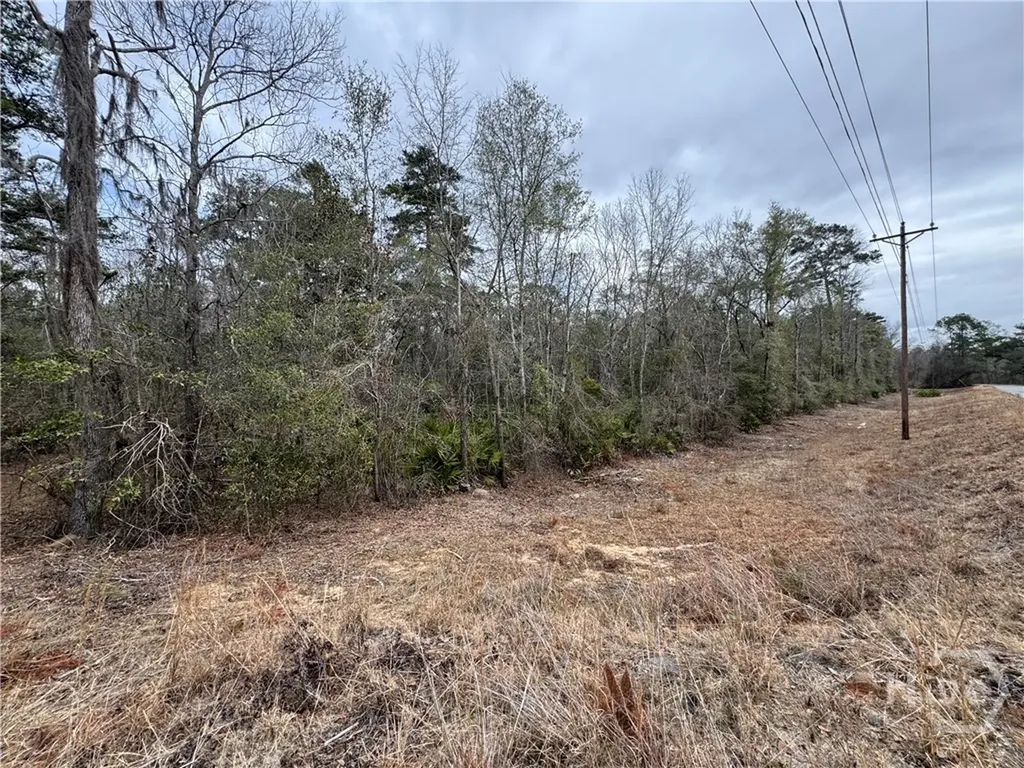 0 Old Highway 204 Highway Bloomingdale GA 31302