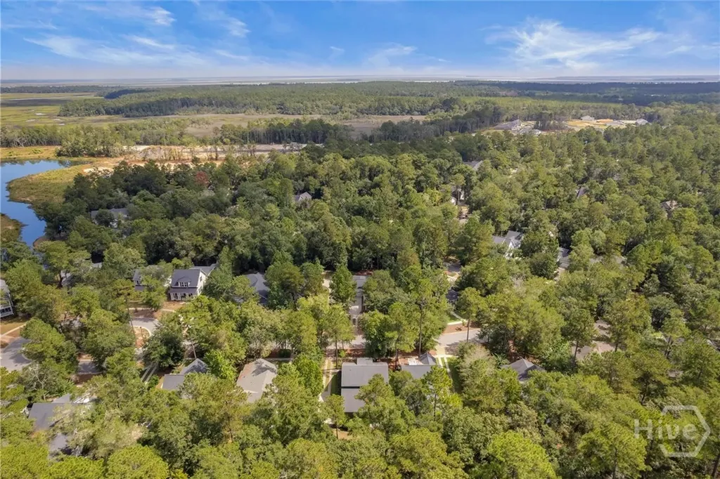 135 N Wildlife View Court Richmond Hill GA 31324