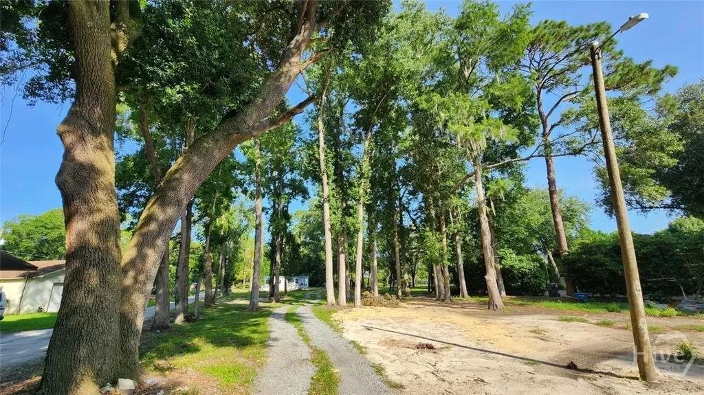 8621 Ferguson Avenue Savannah GA 31406