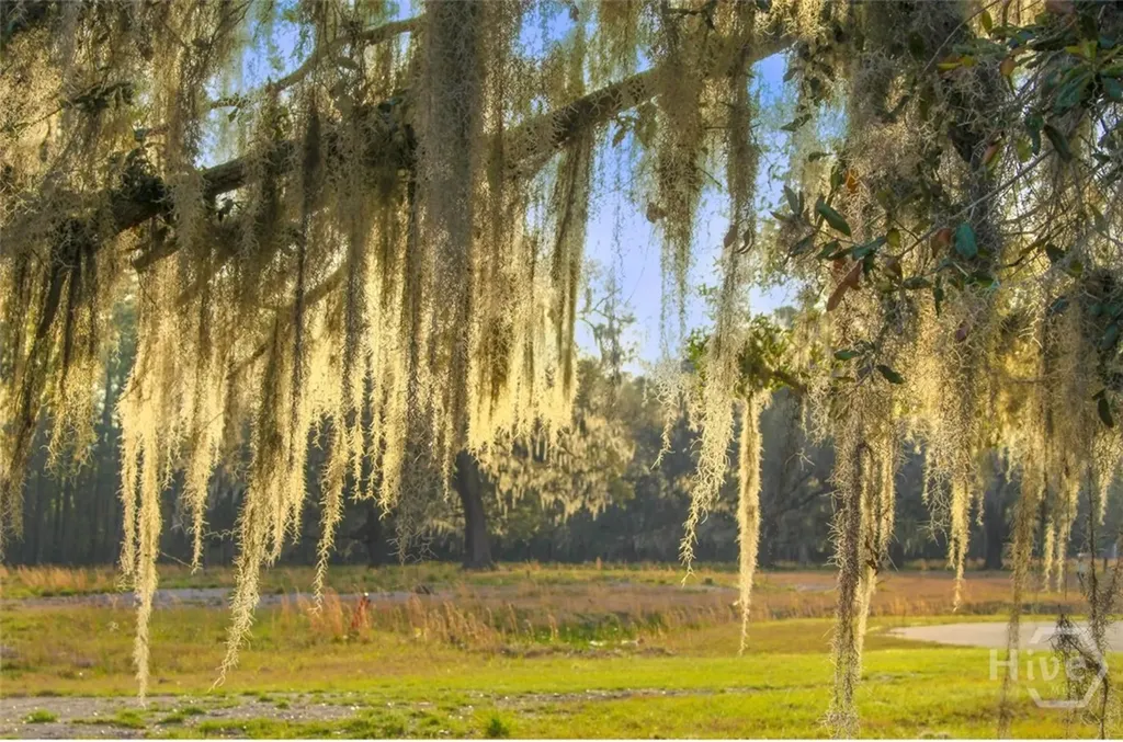 4 William's Retreat Savannah GA 31419
