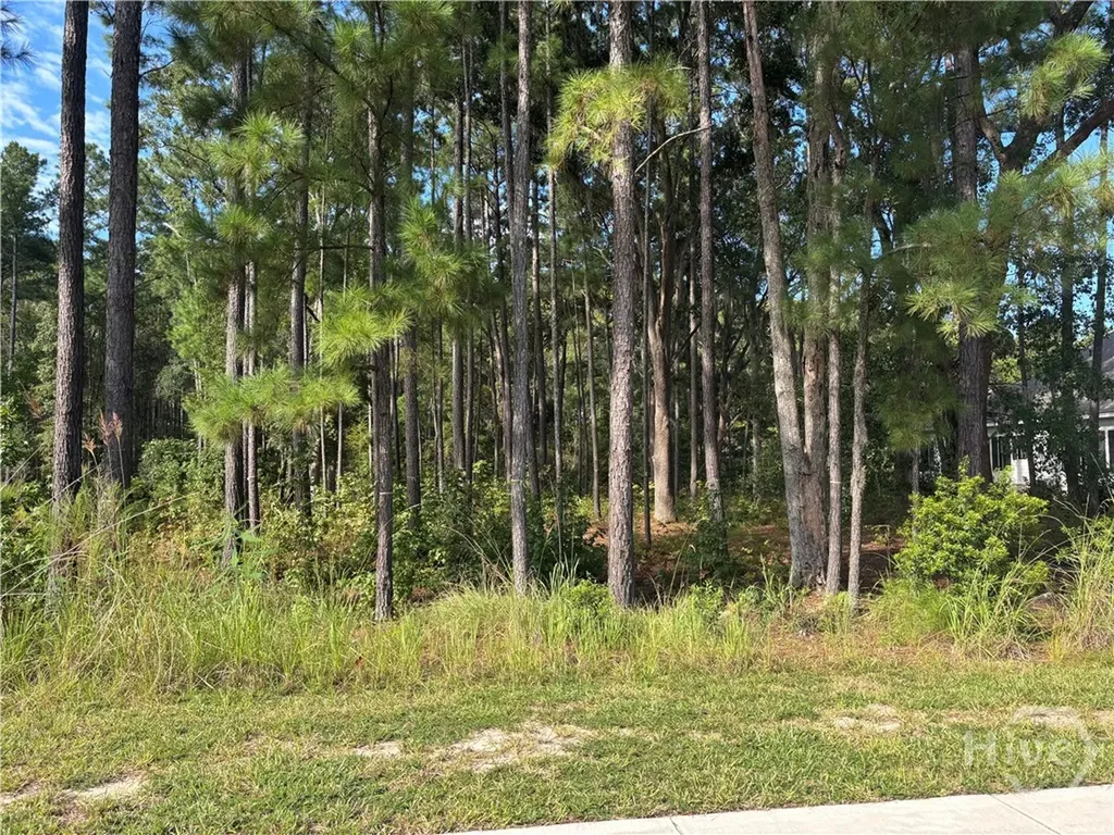 183 Wood Haven Lane Pooler GA 31322