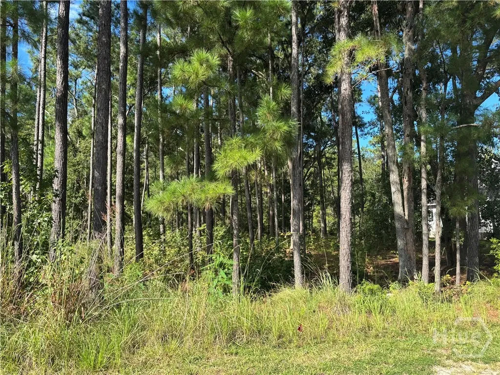 183 Wood Haven Lane Pooler GA 31322