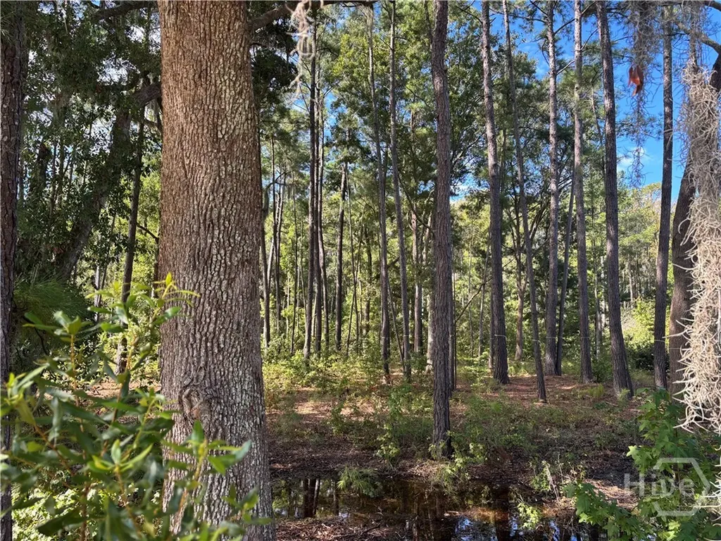 183 Wood Haven Lane Pooler GA 31322