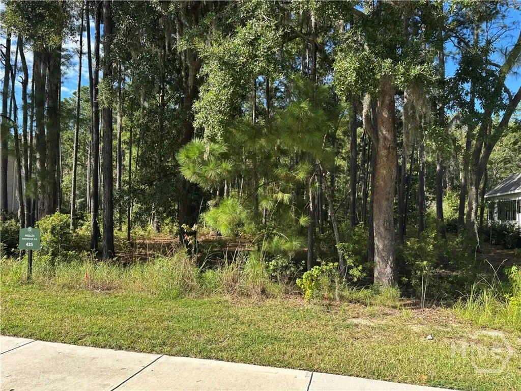 183 Wood Haven Lane Pooler GA 31322