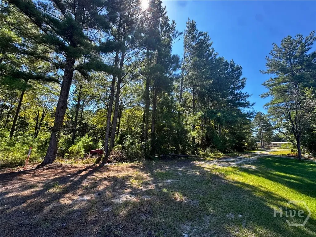 Lot 125 Orange Court Sylvania GA 30467