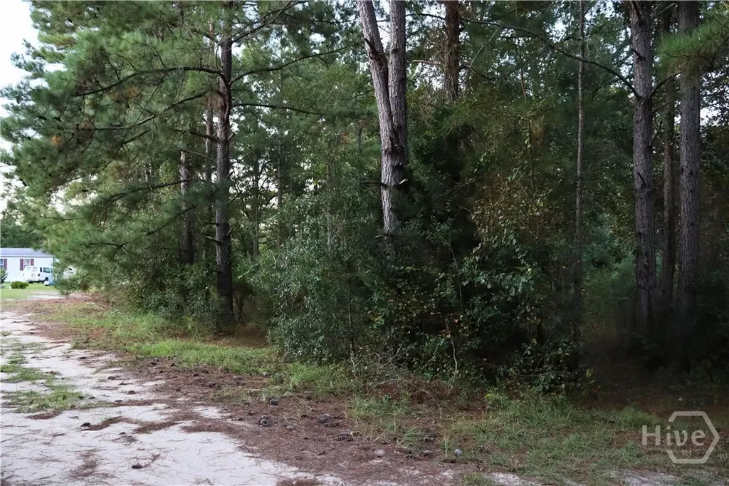 Lot 125 Orange Court Sylvania GA 30467