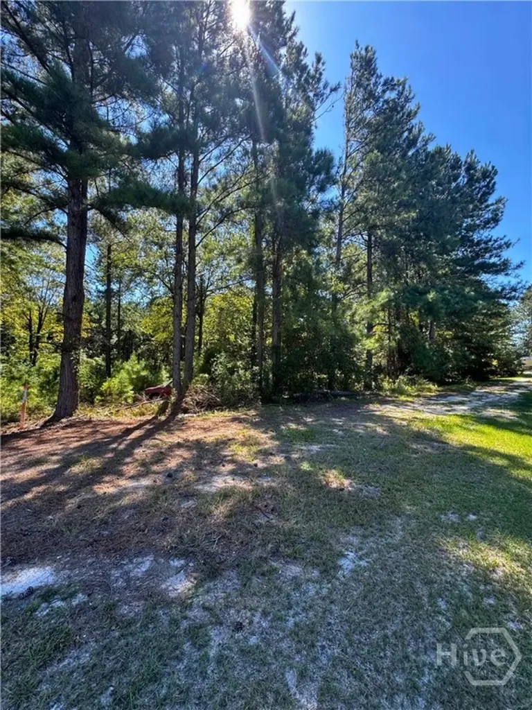 Lot 125 Orange Court Sylvania GA 30467