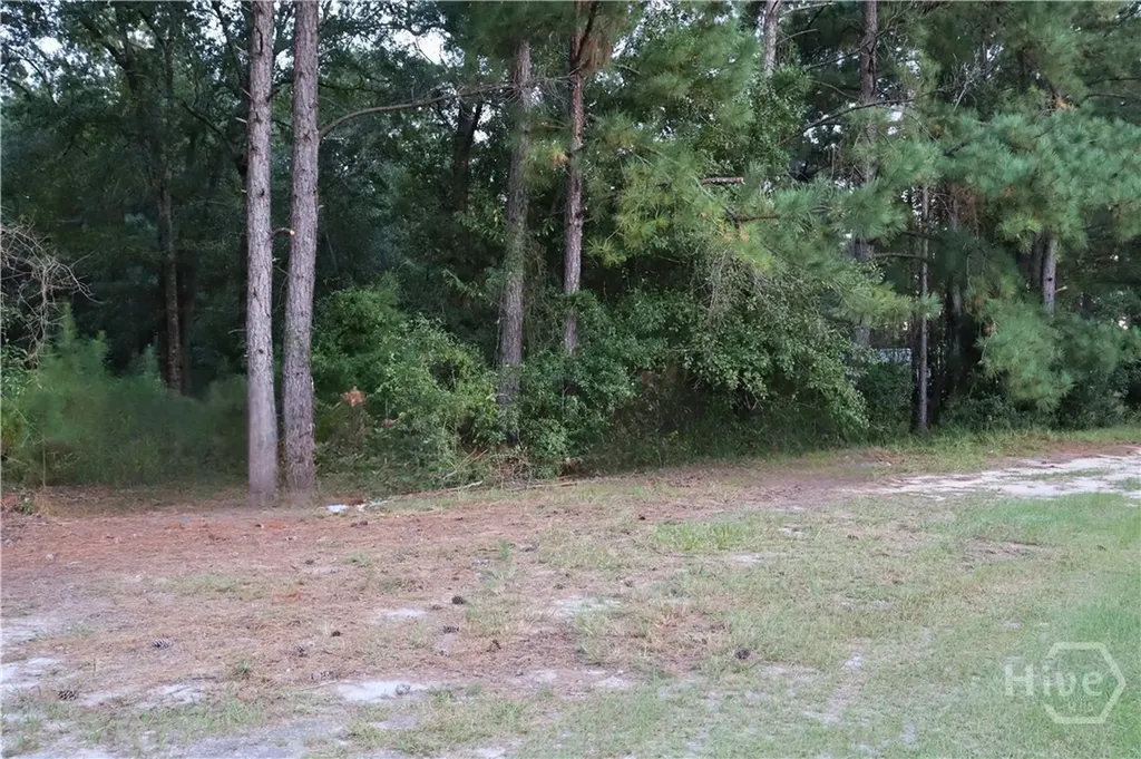 Lot 125 Orange Court Sylvania GA 30467