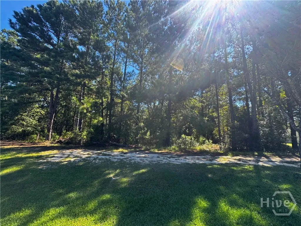Lot 125 Orange Court Sylvania GA 30467