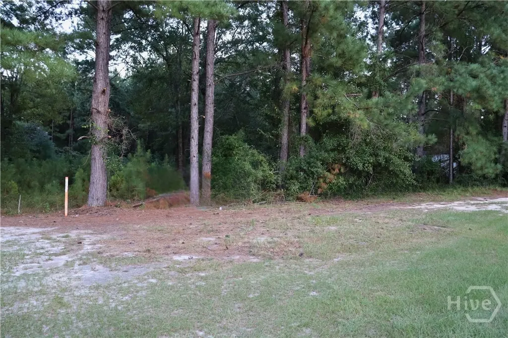 Lot 125 Orange Court Sylvania GA 30467