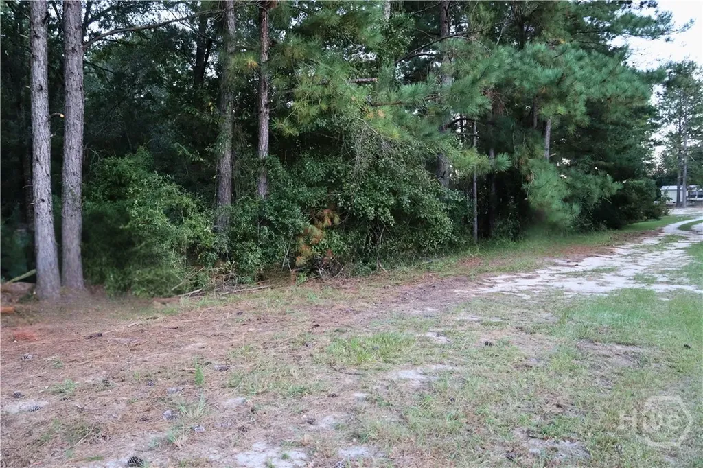 Lot 125 Orange Court Sylvania GA 30467