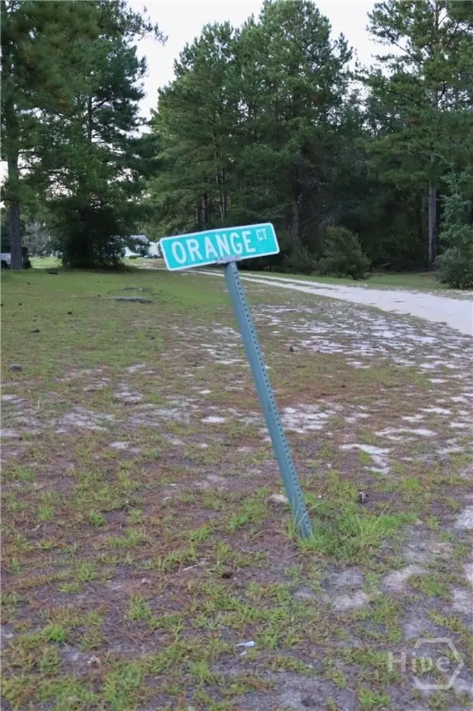 Lot 125 Orange Court Sylvania GA 30467