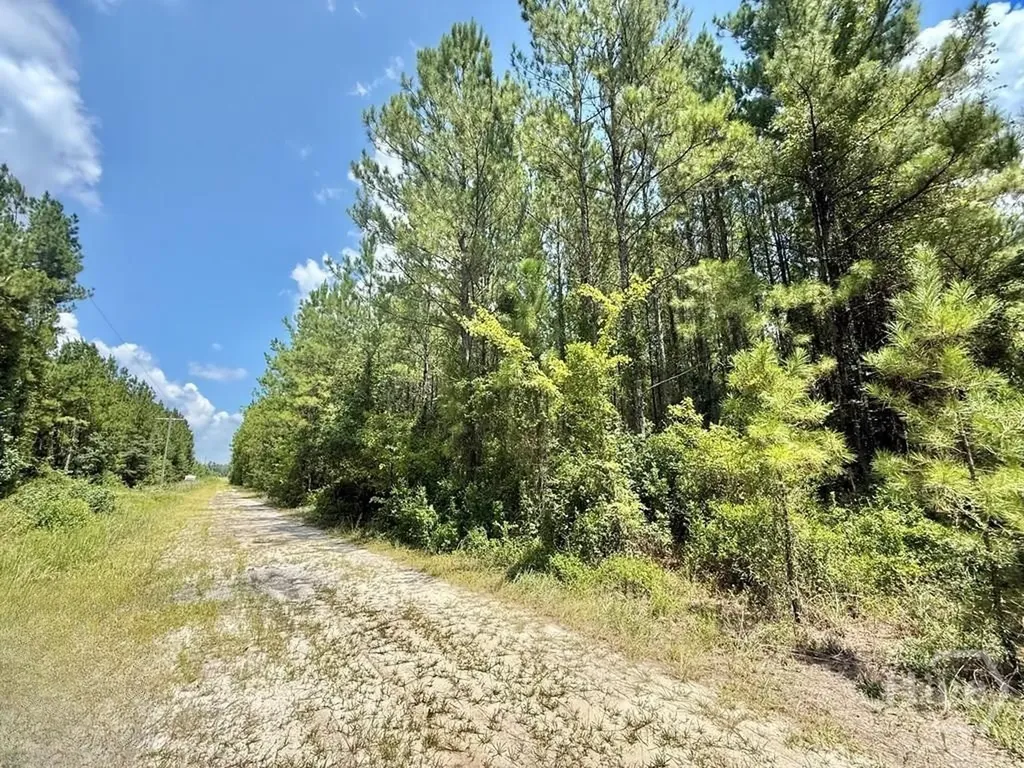 1 Firetower Road Ludowici GA 31316