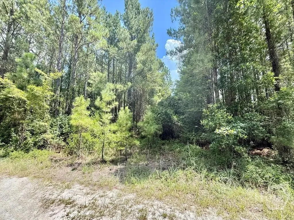 1 Firetower Road Ludowici GA 31316