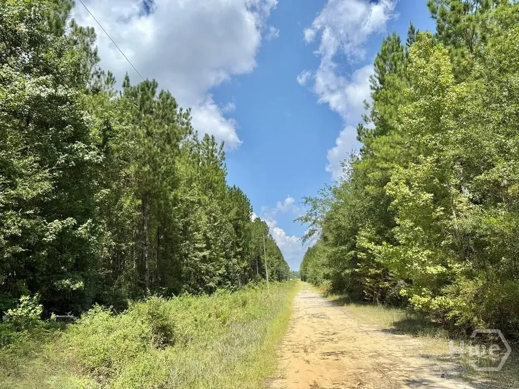 1 Firetower Road Ludowici GA 31316