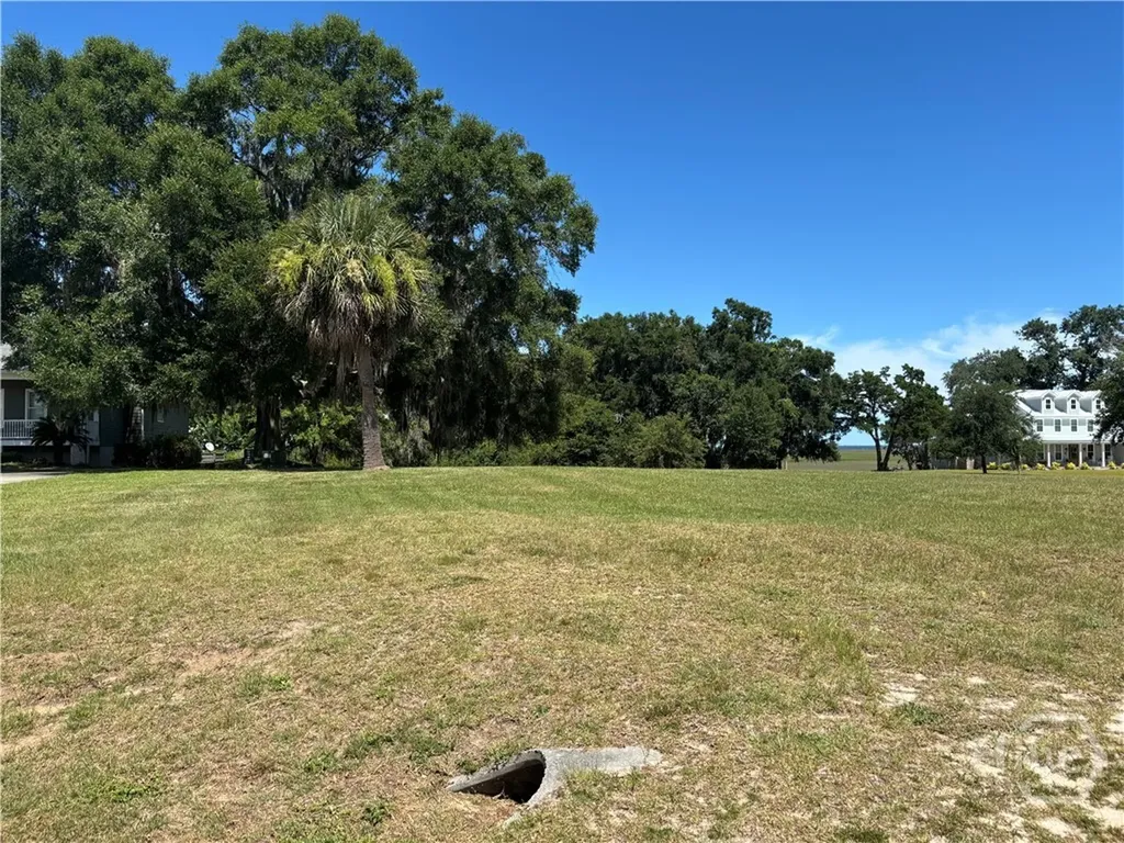 3 Bluff Creek Drive Midway GA 31320