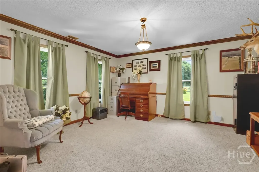 1099 Old Olive Branch Road Ellabell GA 31308