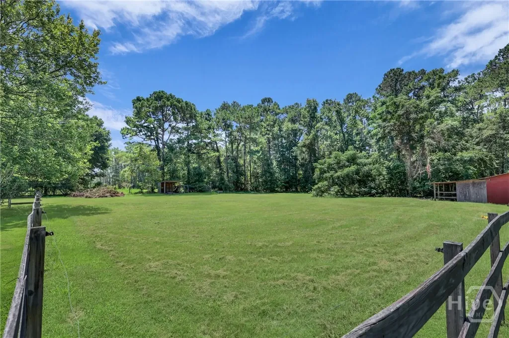 1099 Old Olive Branch Road Ellabell GA 31308