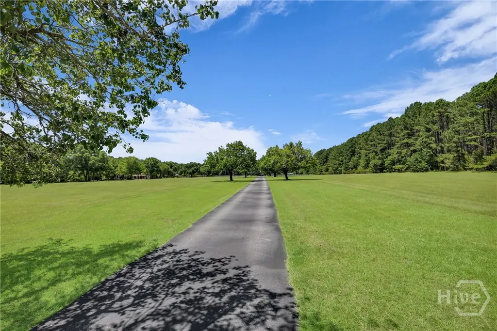 1099 Old Olive Branch Road Ellabell GA 31308