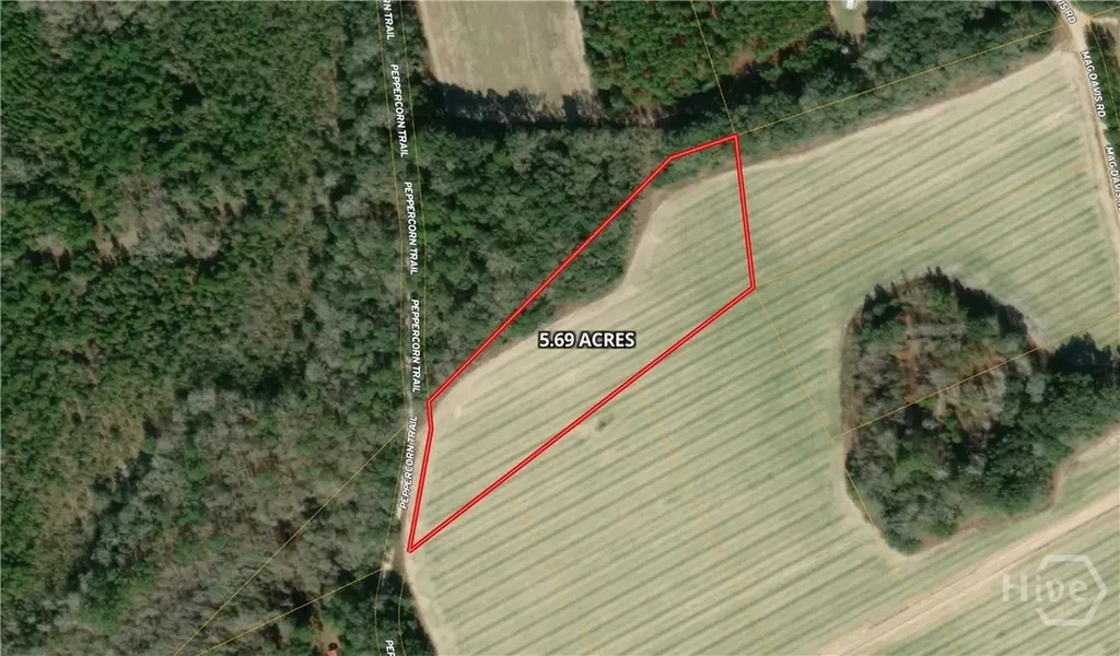 0 Peppercorn Trail Pembroke GA 31321