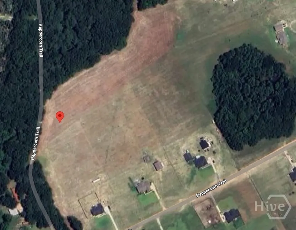 0 Peppercorn Trail Pembroke GA 31321