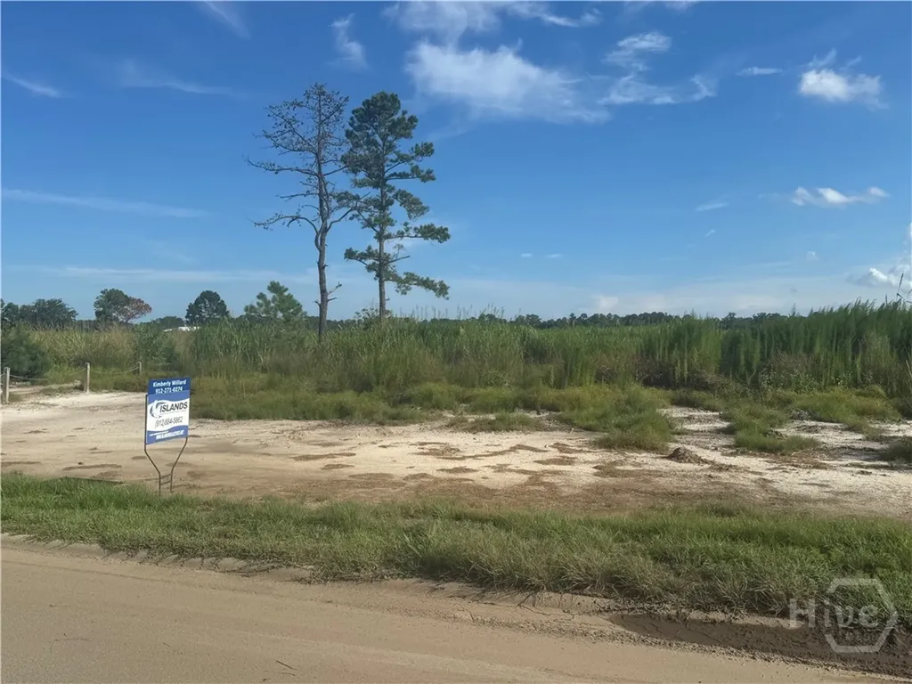 Lot 25 Jerico Marsh Road Midway GA 31320