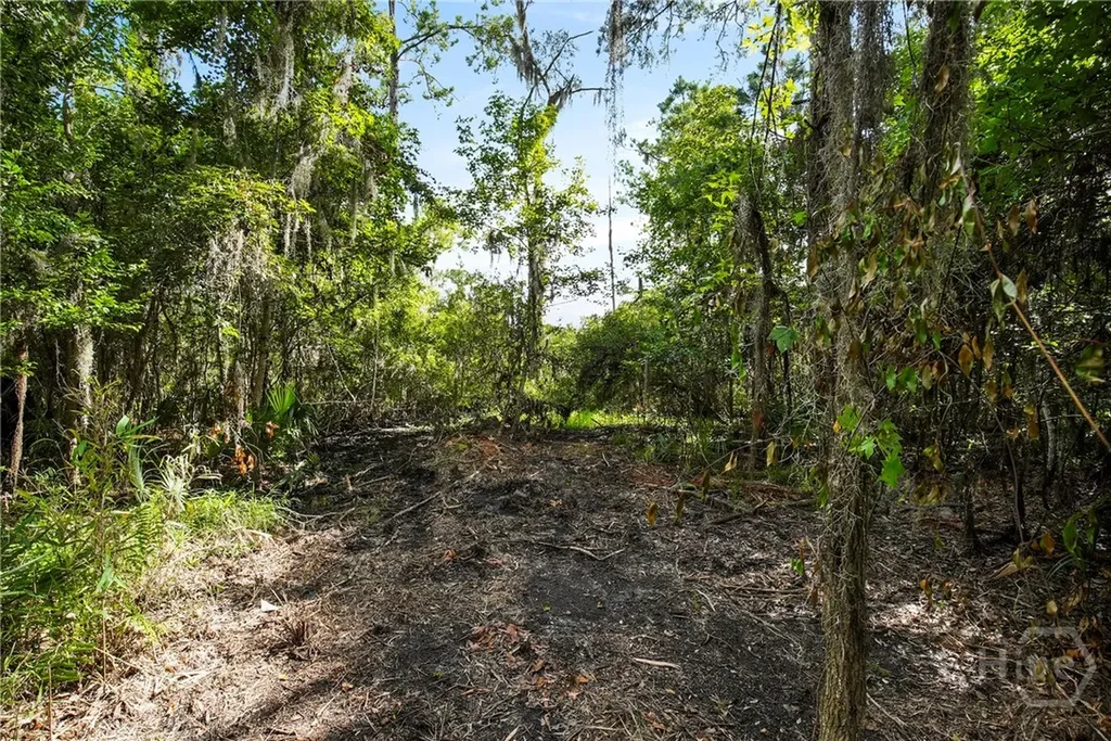 3 & M3 Big Oak Road Riceboro GA 31323