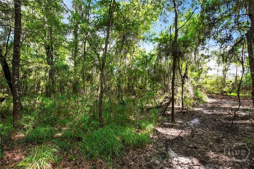 3 & M3 Big Oak Road Riceboro GA 31323