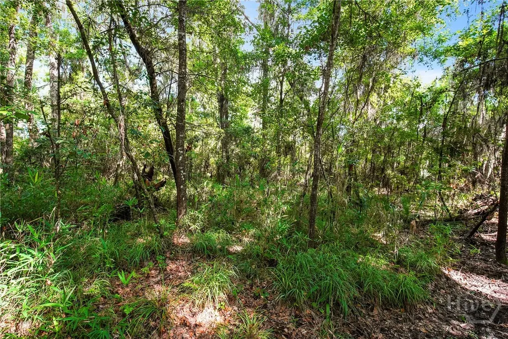 3 & M3 Big Oak Road Riceboro GA 31323