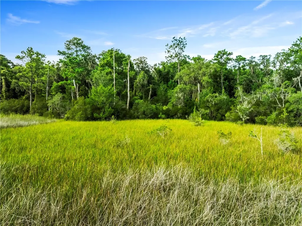 3 & M3 Big Oak Road Riceboro GA 31323