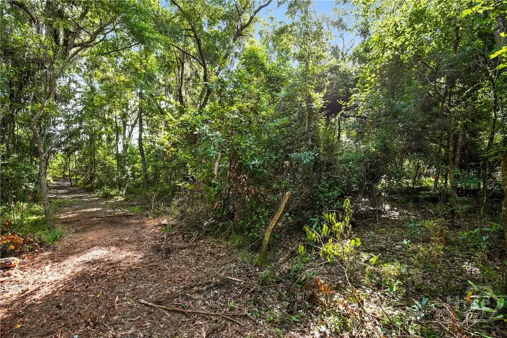 3 & M3 Big Oak Road Riceboro GA 31323