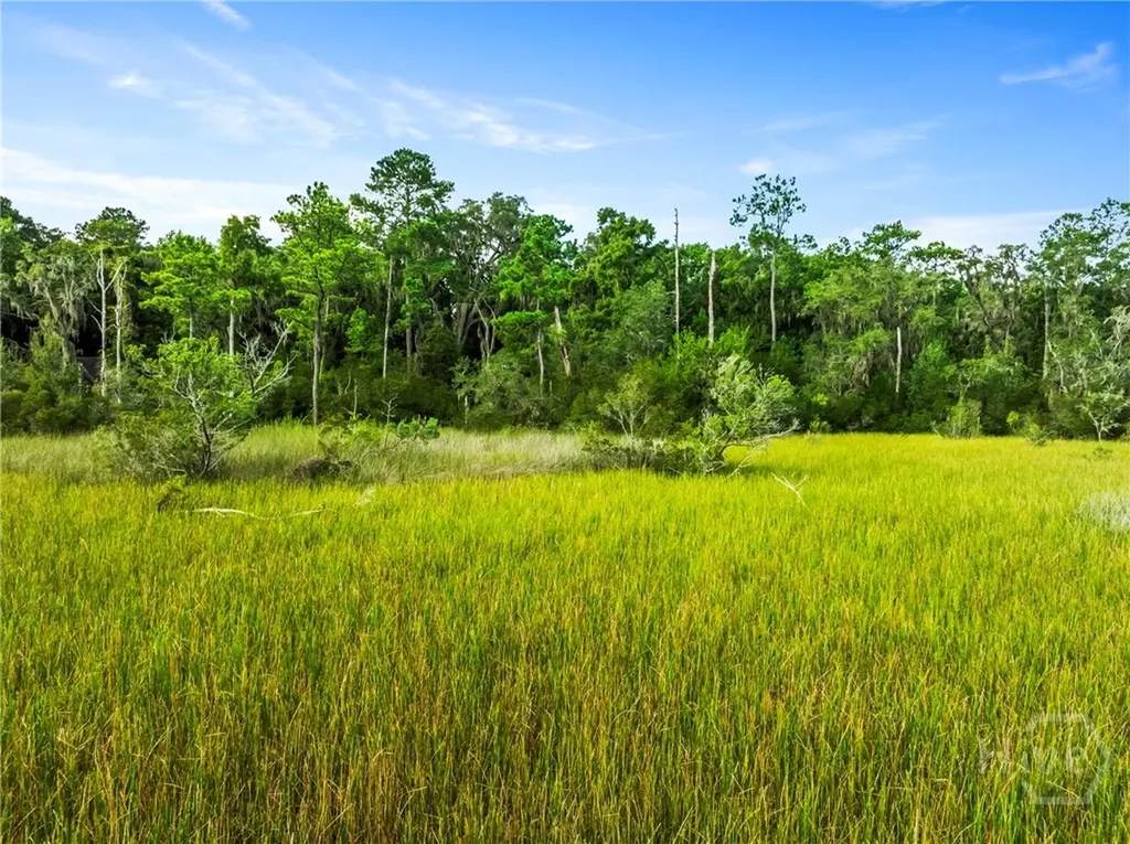 3 & M3 Big Oak Road Riceboro GA 31323