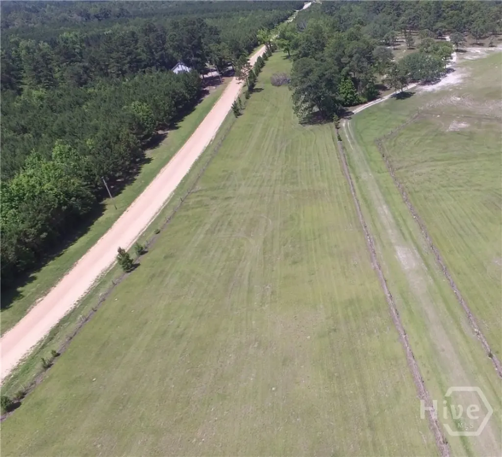 Lot 1 Ben Grady Collins Road Portal GA 30450