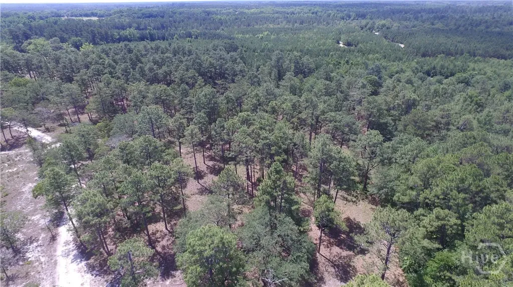 Lot 1 Ben Grady Collins Road Portal GA 30450
