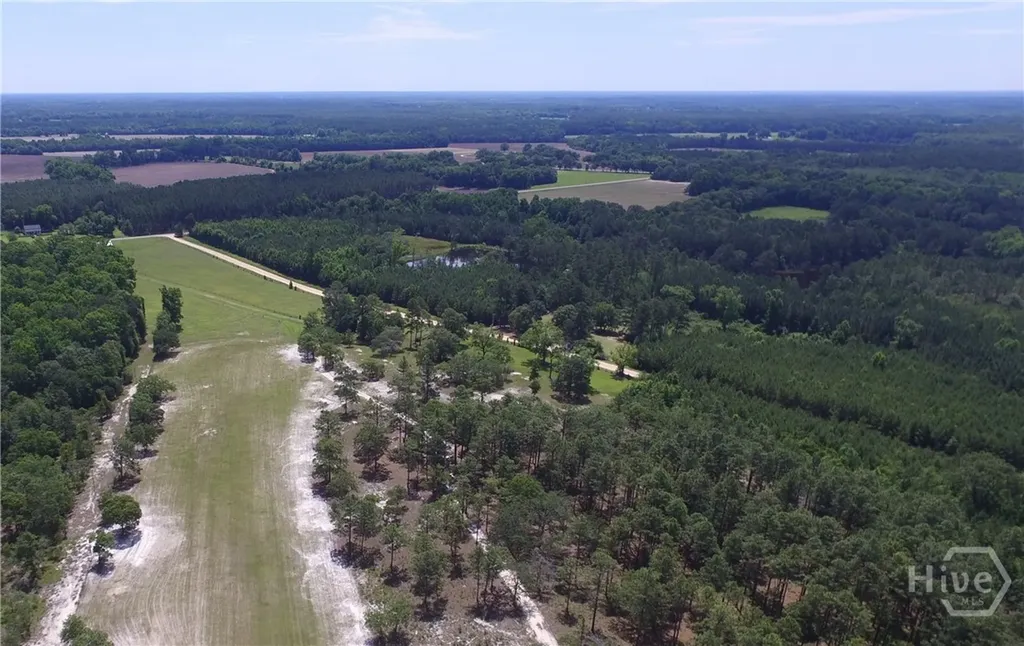 Lot 1 Ben Grady Collins Road Portal GA 30450