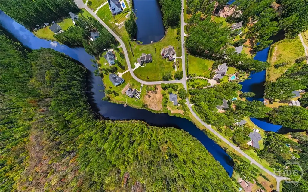 Lot 21 Amarula Lane Richmond Hill GA 31324