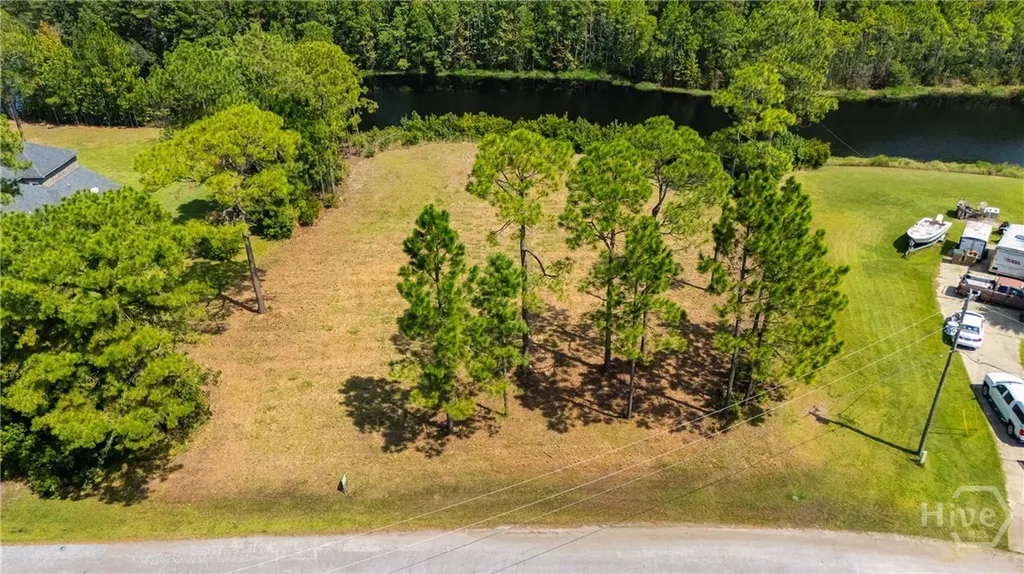 Lot 21 Amarula Lane Richmond Hill GA 31324