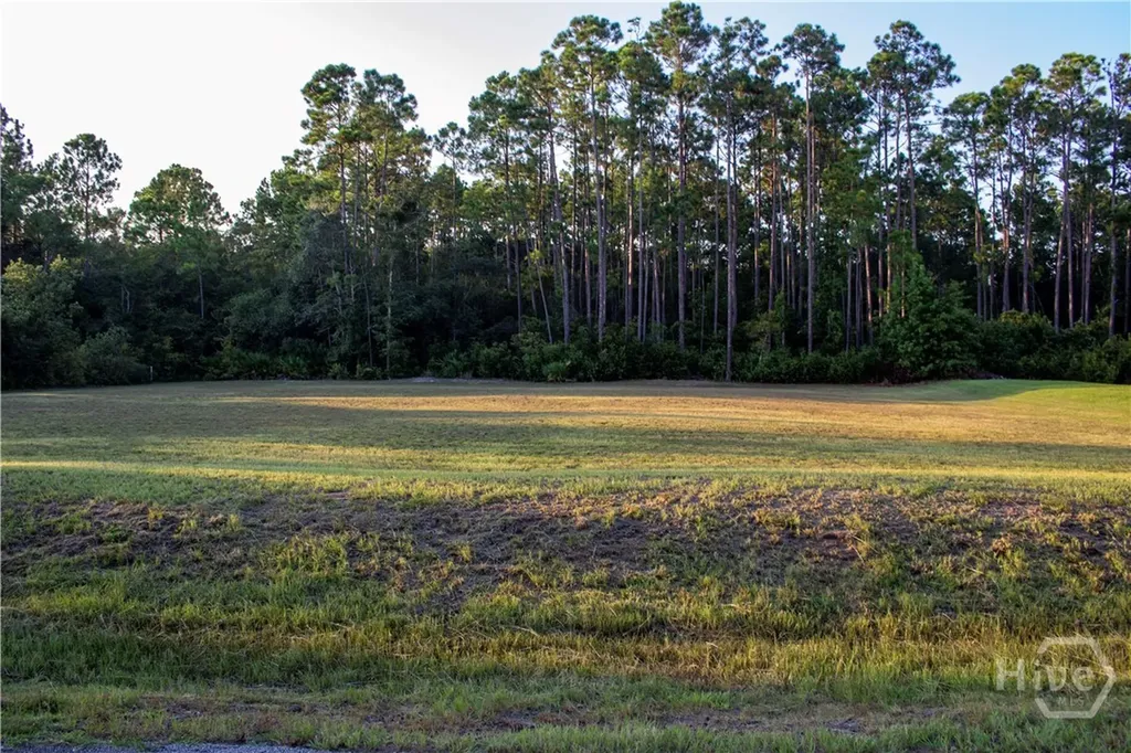 0 Plantation Road Midway GA 31320