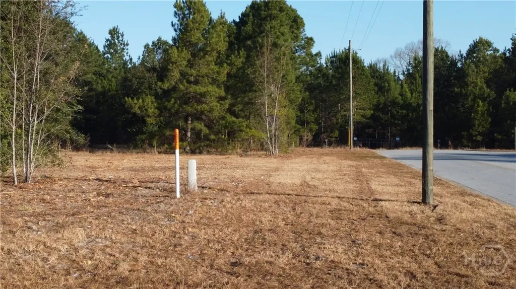 0 Sr-21 Highway S Springfield GA 31329