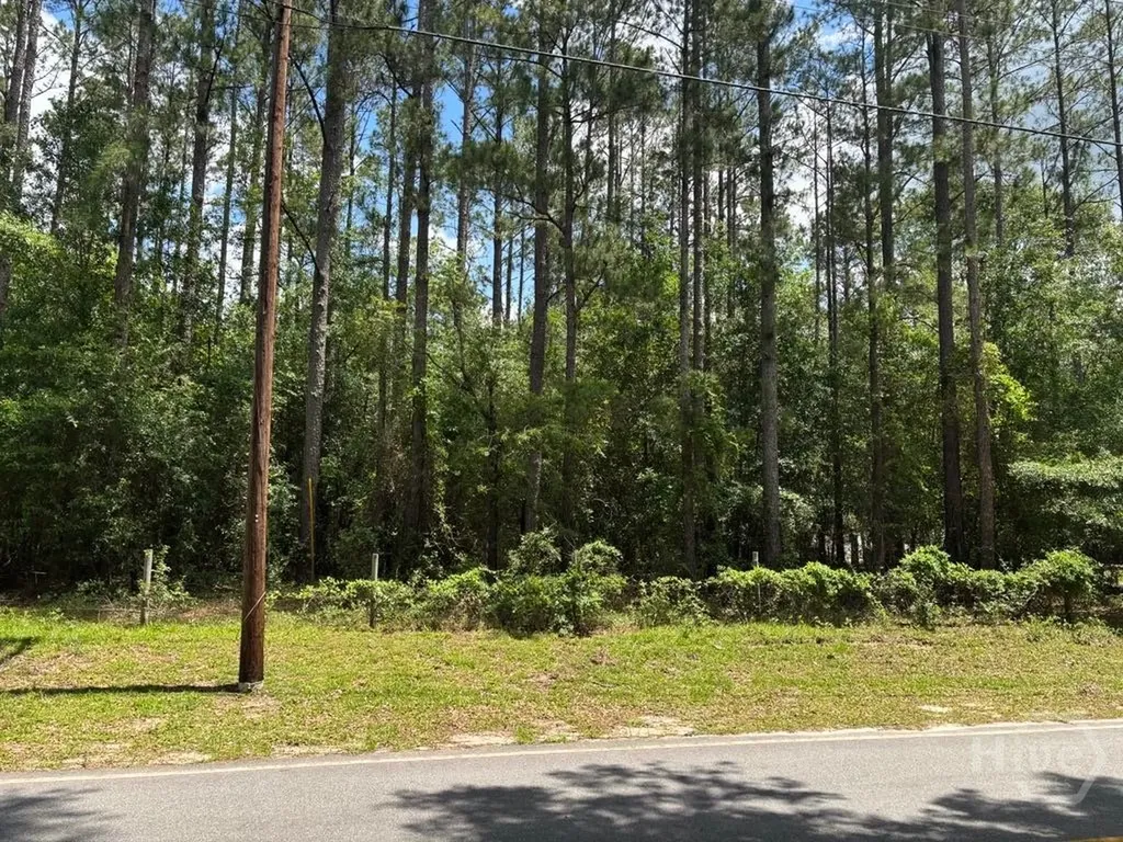 307 Arden Loop Circle Ellabell GA 31308