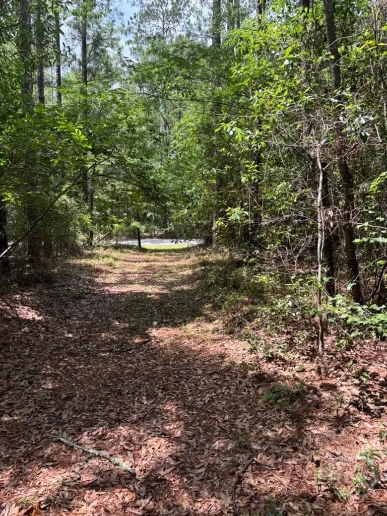 307 Arden Loop Circle Ellabell GA 31308